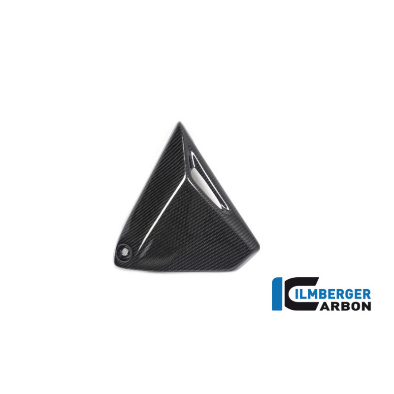 Couvercle de cadre droit carbone pour BMW R 1250 R & RS | Ilmberger Carbon