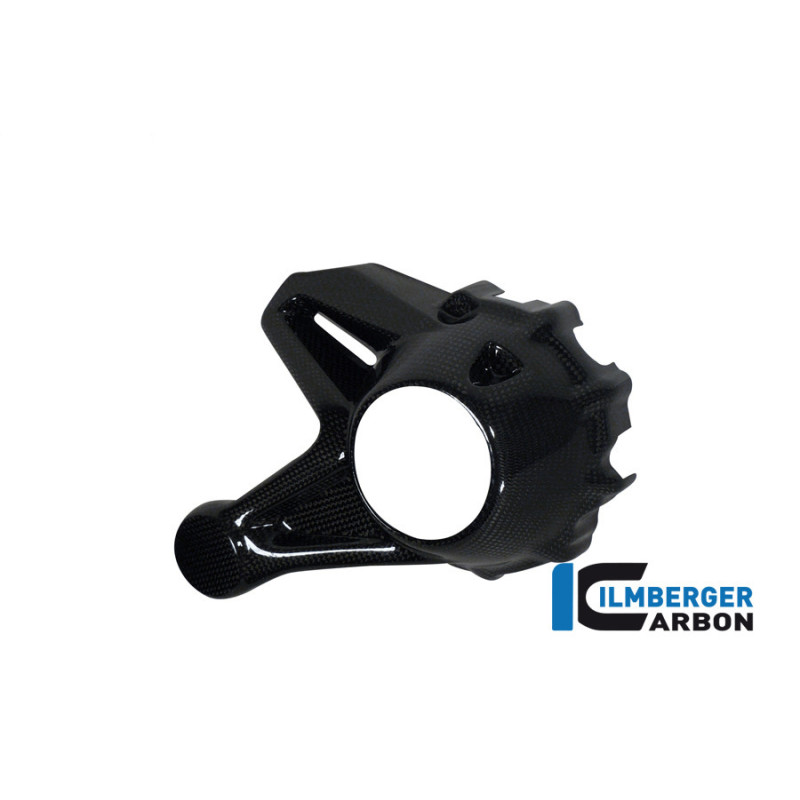 Cache de carter de cardan carbone pour BMW R 1200 R & RS | Ilmberger Carbon