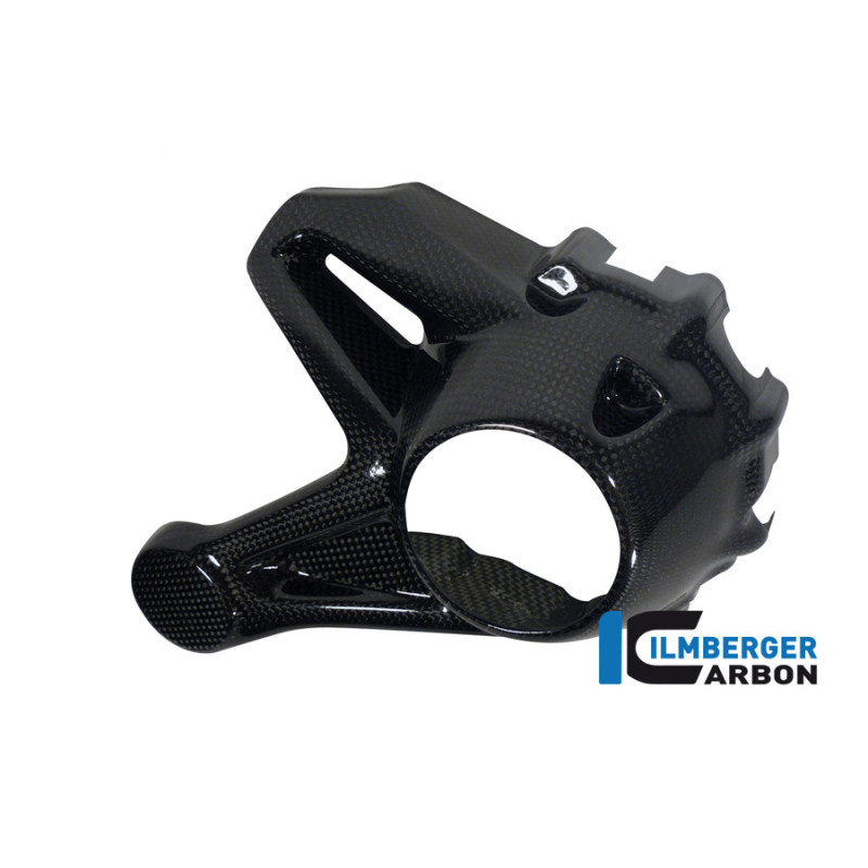 Cache de carter de cardan carbone pour BMW R 1200 R & RS | Ilmberger Carbon