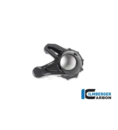 Cache de carter de cardan carbone pour BMW R 1250 R & RS | Ilmberger Carbon