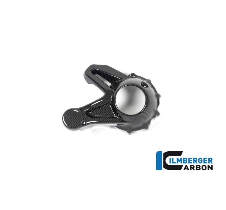 Cache de carter de cardan carbone pour BMW R 1250 R & RS | Ilmberger Carbon