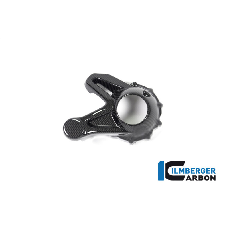 Cache de carter de cardan carbone pour BMW R 1250 R & RS | Ilmberger Carbon