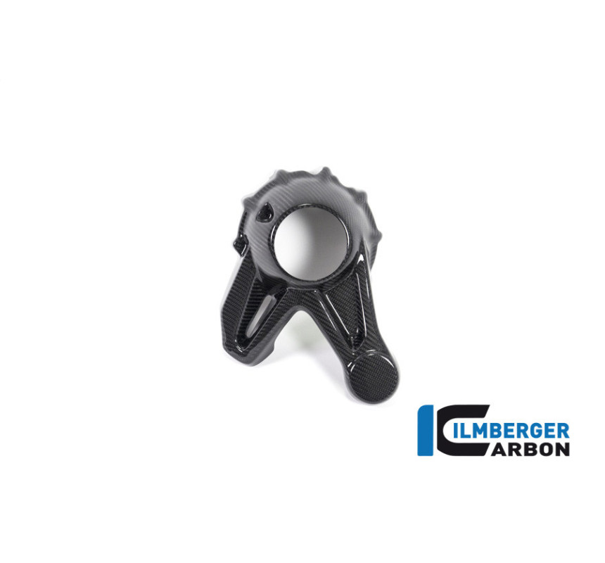 Cache de carter de cardan carbone pour R 1250 R & RS