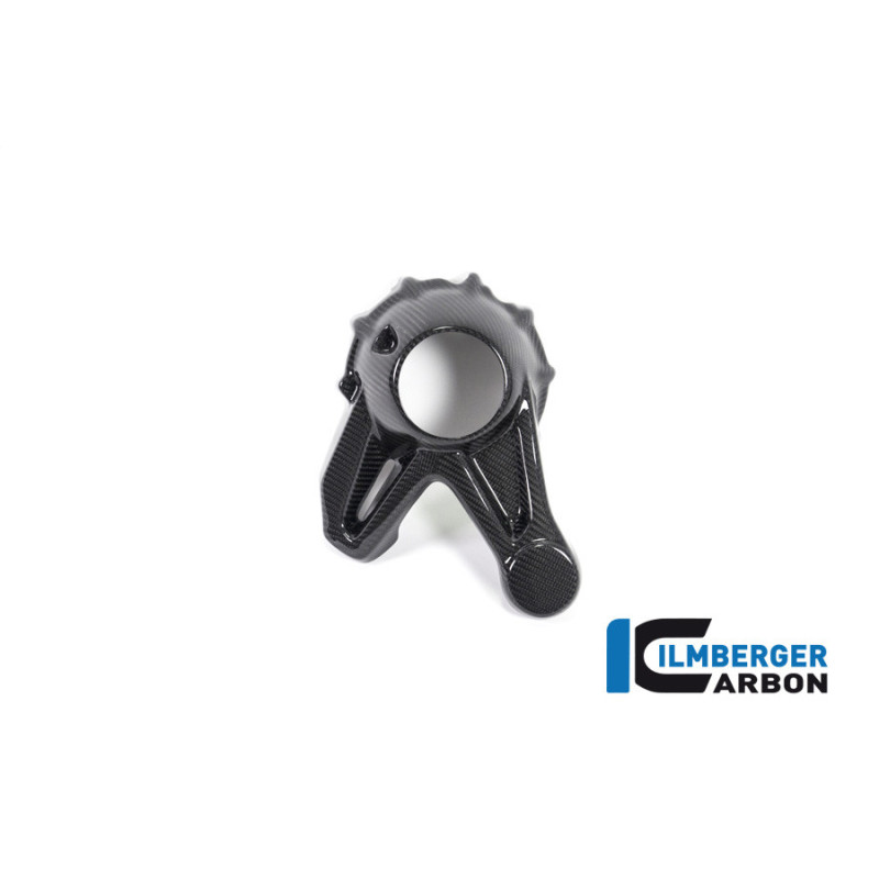 Cache de carter de cardan carbone pour R 1250 R & RS