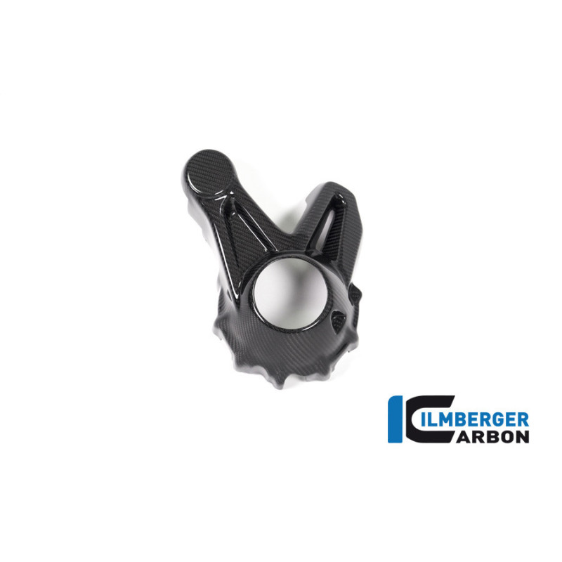 Cache de carter de cardan carbone pour BMW R 1250 R & RS | Ilmberger Carbon