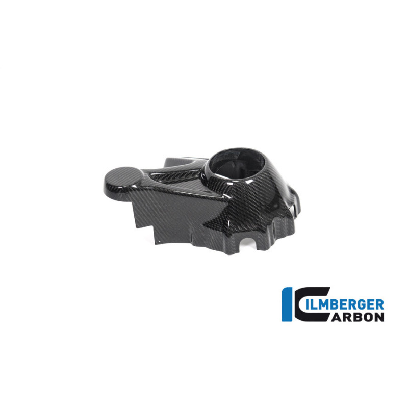 Cache de carter de cardan carbone pour BMW R 1250 R & RS | Ilmberger Carbon