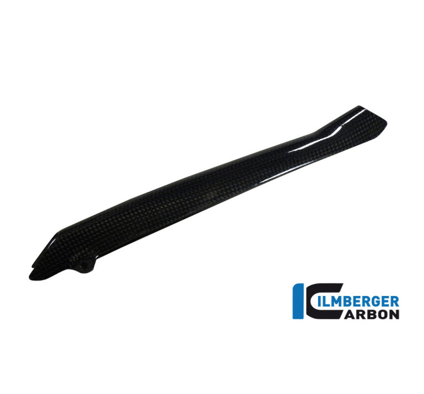 Cache de durite de frein carbone pour R 1200 R & RS