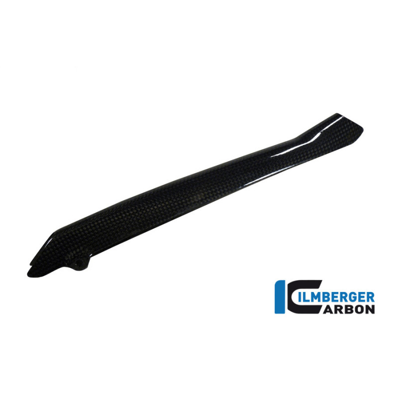Cache de durite de frein carbone pour R 1200 R & RS