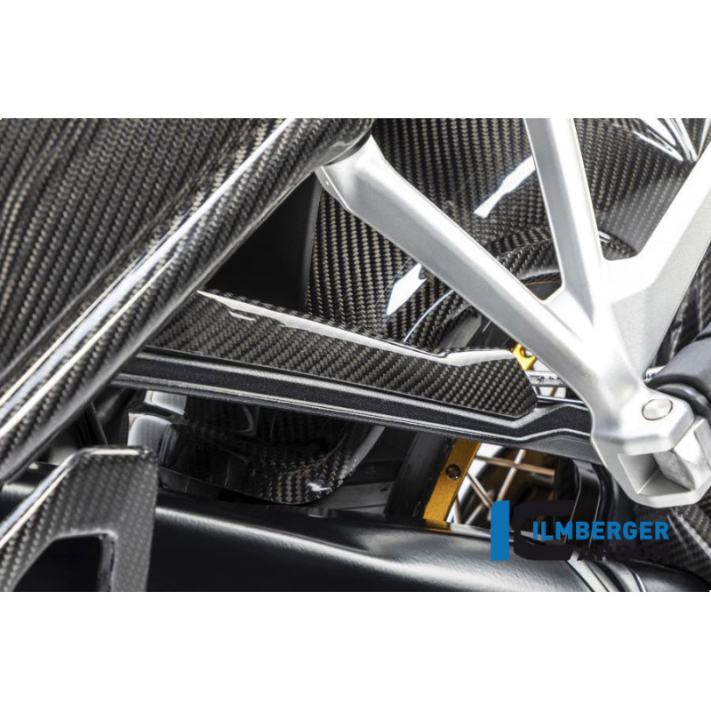 Cache de durite de frein carbone pour BMW R 1250 R & RS | Ilmberger Carbon