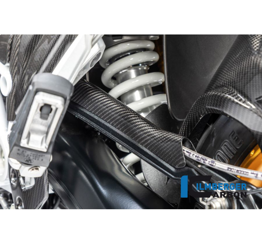 Cache de durite de frein carbone pour R 1250 R & RS