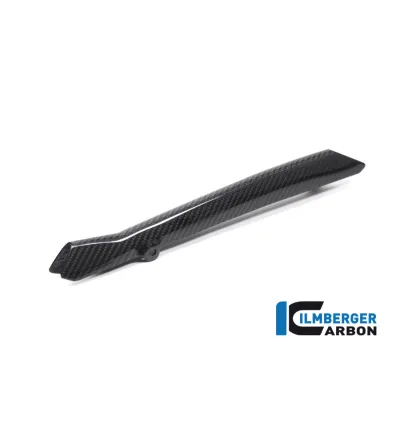 Cache de durite de frein carbone pour BMW R 1250 R & RS | Ilmberger Carbon
