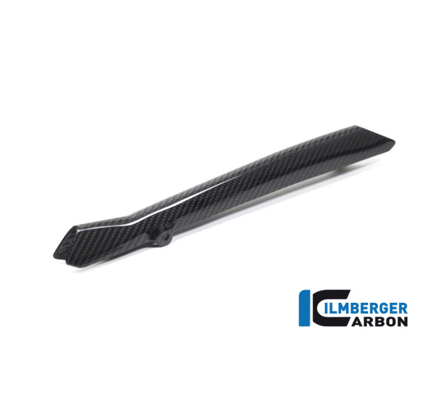 Cache de durite de frein carbone pour BMW R 1250 R & RS | Ilmberger Carbon