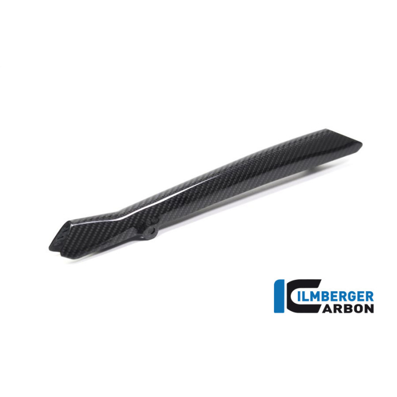 Cache de durite de frein carbone pour BMW R 1250 R & RS | Ilmberger Carbon