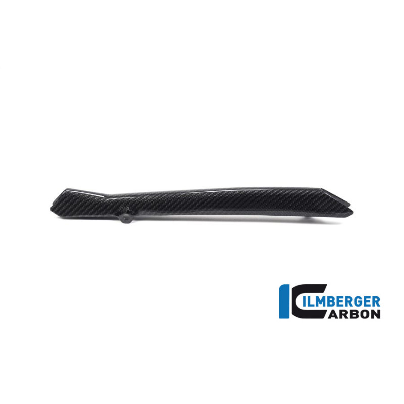 Cache de durite de frein carbone pour BMW R 1250 R & RS | Ilmberger Carbon