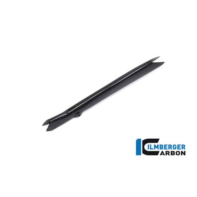 Cache de durite de frein carbone pour BMW R 1250 R & RS | Ilmberger Carbon