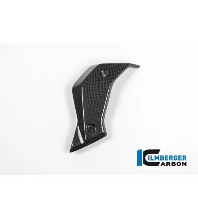 Habillage de radiateur gauche carbone pour BMW R 1200 R | Ilmberger Carbon