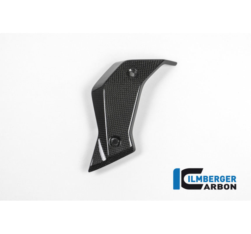 Habillage de radiateur gauche carbone pour BMW R 1200 R | Ilmberger Carbon