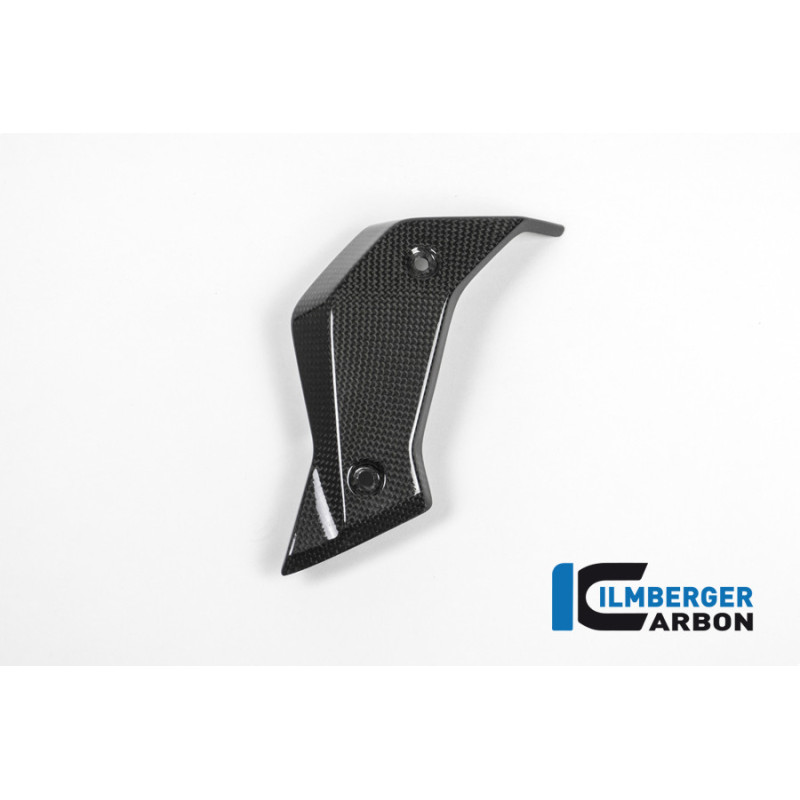 Habillage de radiateur gauche carbone pour BMW R 1200 R | Ilmberger Carbon