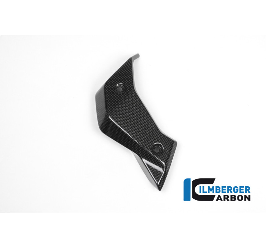 Habillage de radiateur gauche carbone pour R 1200 R