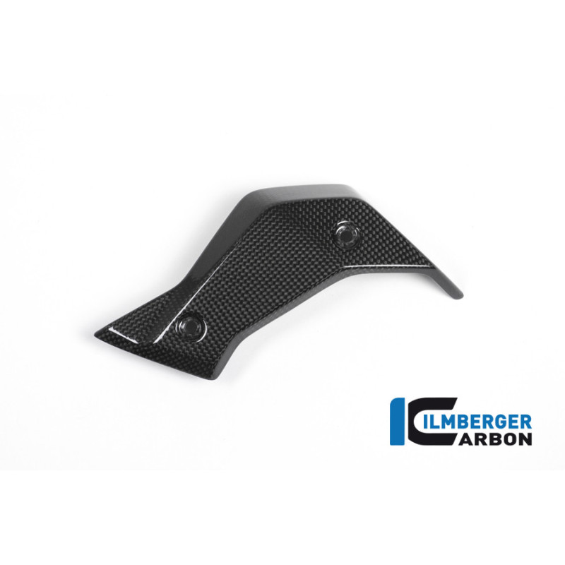 Habillage de radiateur gauche carbone pour BMW R 1200 R | Ilmberger Carbon