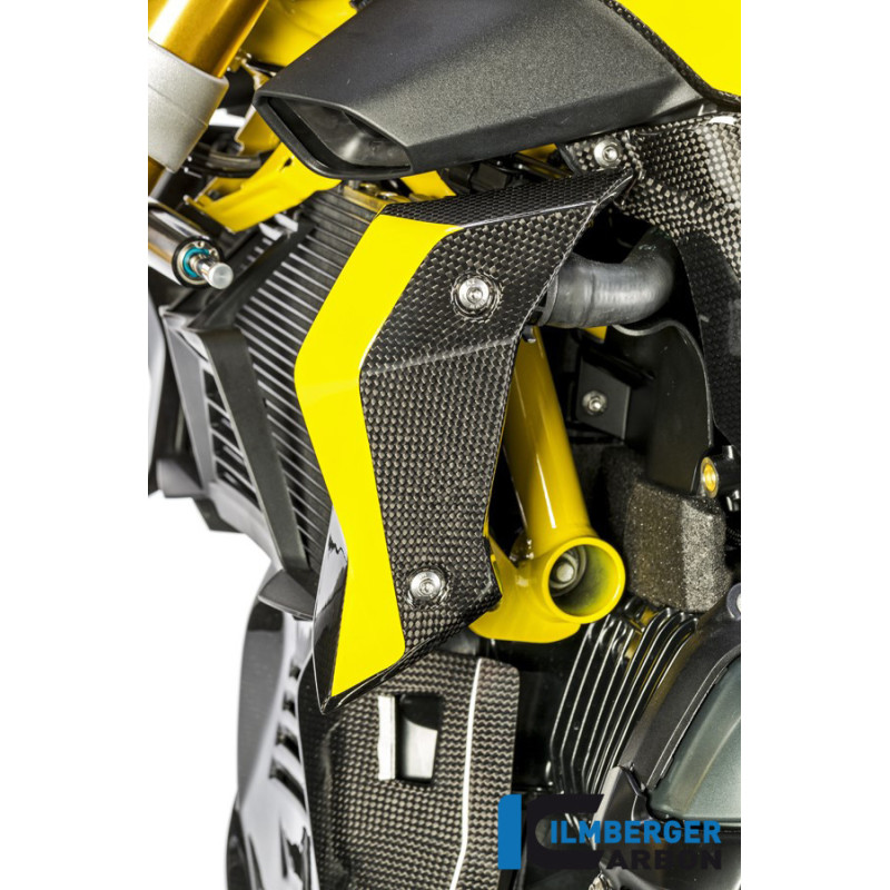 Habillage de radiateur gauche carbone pour BMW R 1200 R | Ilmberger Carbon
