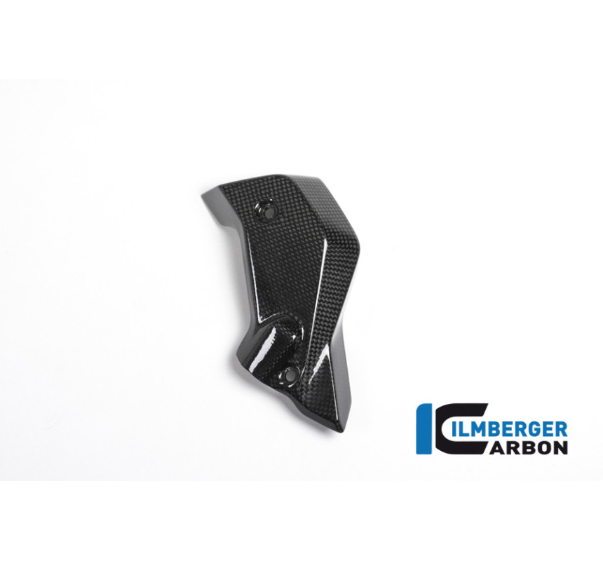 Habillage de radiateur droit carbone pour BMW R 1200 R | Ilmberger Carbon