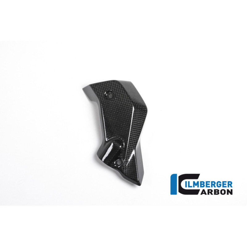 Habillage de radiateur droit carbone pour BMW R 1200 R | Ilmberger Carbon