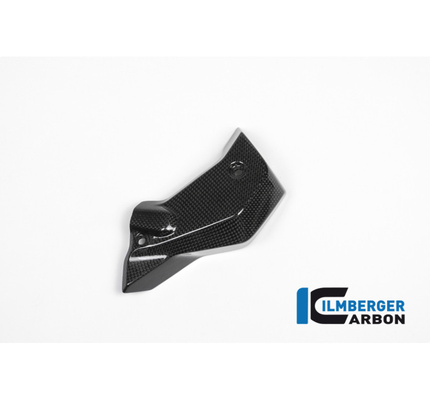 Habillage de radiateur droit carbone pour R 1200 R