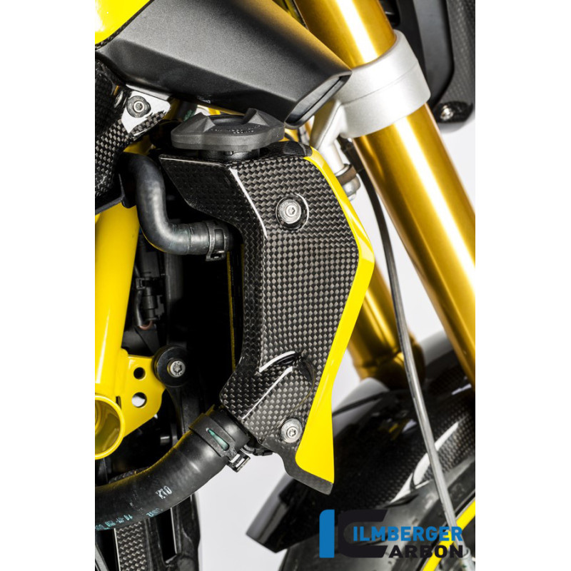 Habillage de radiateur droit carbone pour BMW R 1200 R | Ilmberger Carbon