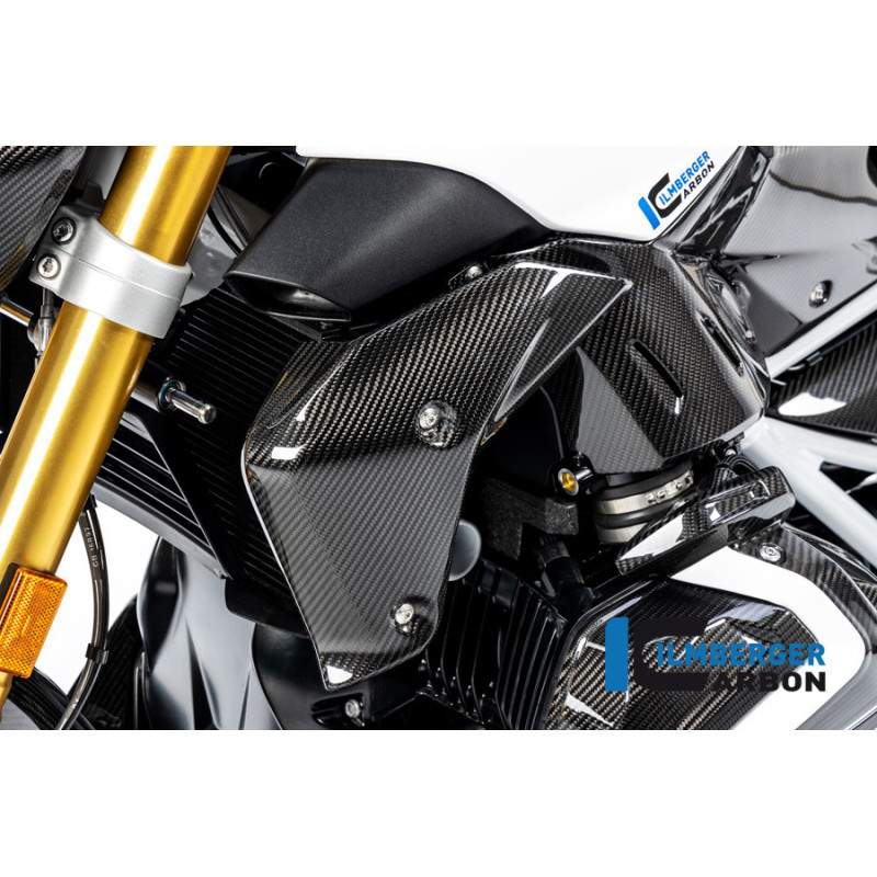 Habillage de radiateur gauche carbone pour BMW R 1250 R | Ilmberger Carbon