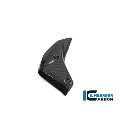 Habillage de radiateur gauche carbone pour BMW R 1250 R | Ilmberger Carbon