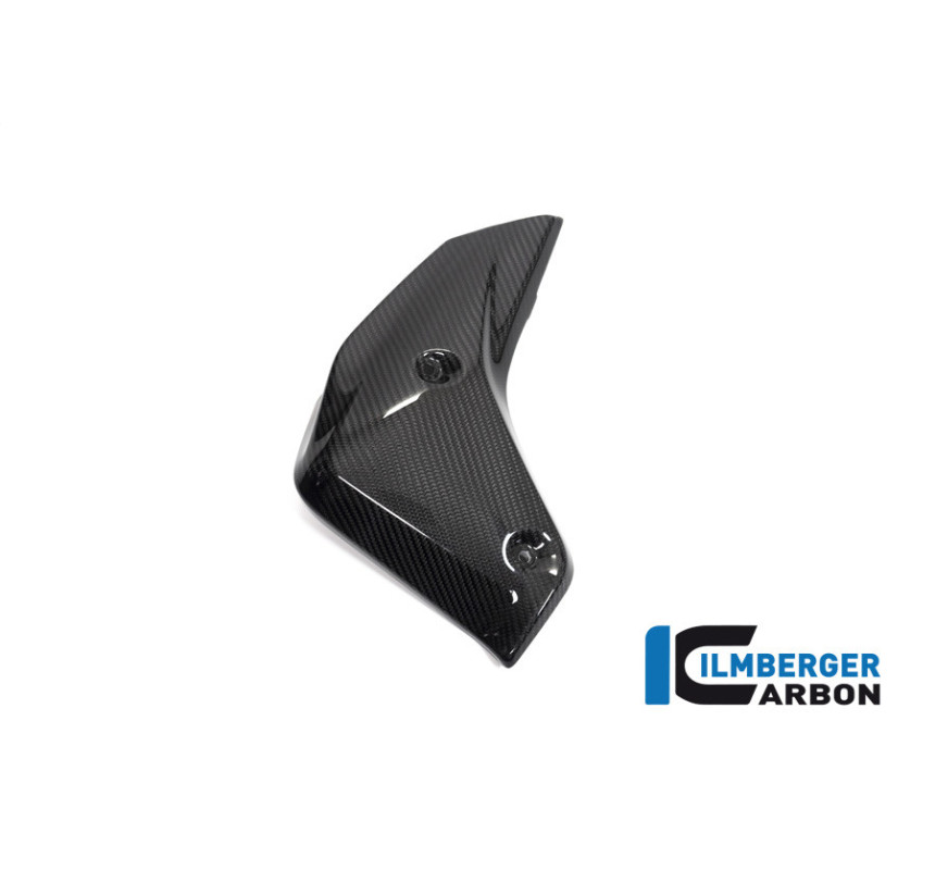 Habillage de radiateur gauche carbone pour BMW R 1250 R | Ilmberger Carbon