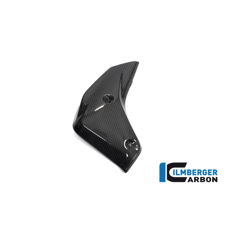 Habillage de radiateur gauche carbone pour BMW R 1250 R | Ilmberger Carbon