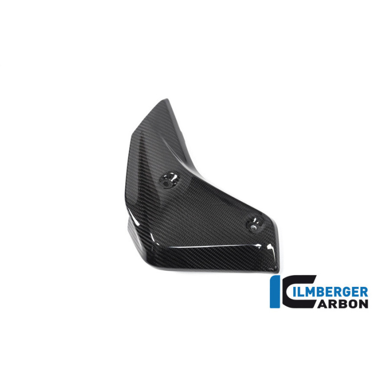 Habillage de radiateur gauche carbone pour R 1250 R