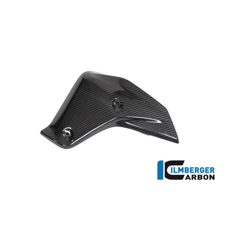 Habillage de radiateur gauche carbone pour BMW R 1250 R | Ilmberger Carbon