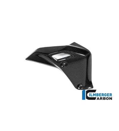Habillage de radiateur droit carbone pour BMW R 1250 R | Ilmberger Carbon
