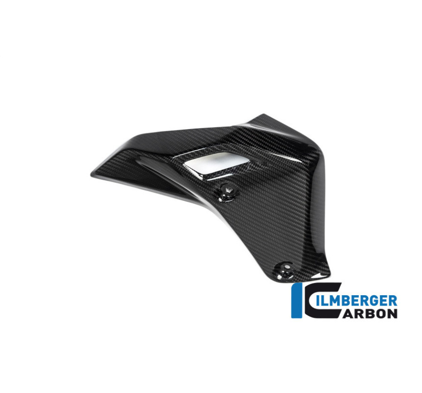 Habillage de radiateur droit carbone pour BMW R 1250 R | Ilmberger Carbon