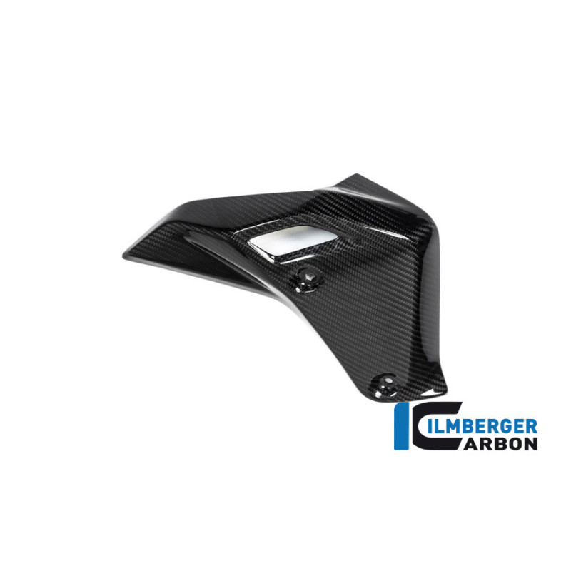 Habillage de radiateur droit carbone pour BMW R 1250 R | Ilmberger Carbon