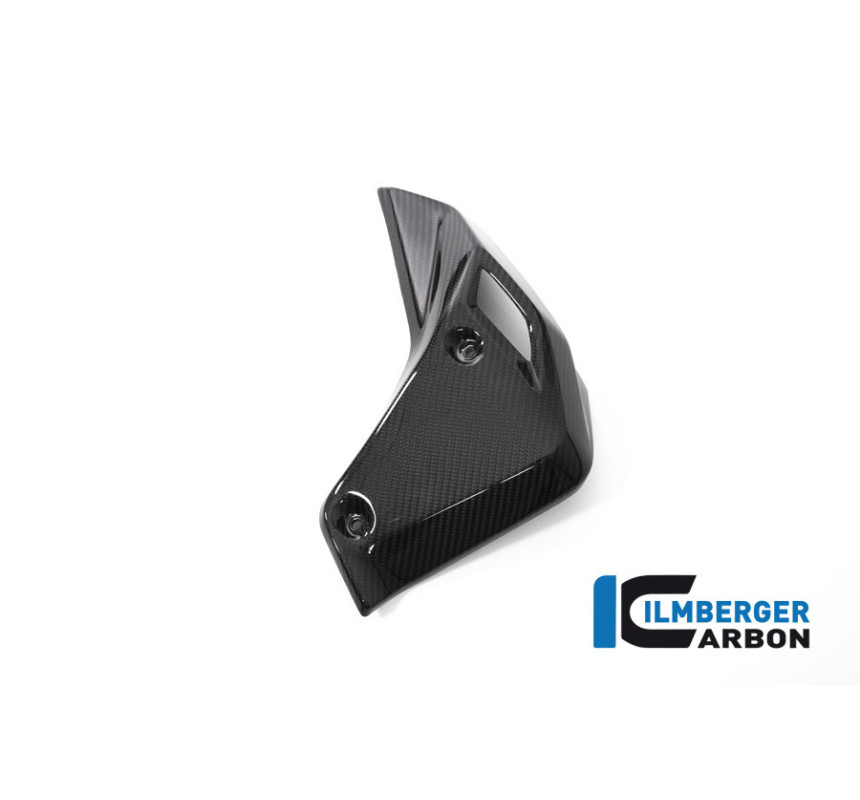 Habillage de radiateur droit carbone pour R 1250 R