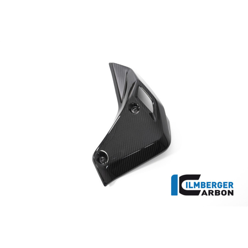 Habillage de radiateur droit carbone pour BMW R 1250 R | Ilmberger Carbon