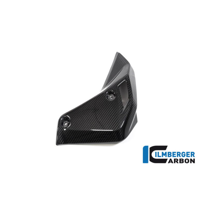 Habillage de radiateur droit carbone pour BMW R 1250 R | Ilmberger Carbon