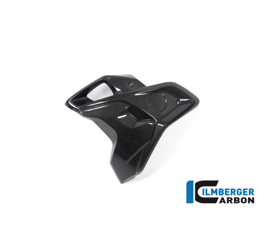 Canal d'air complet gauche carbone pour BMW R 1250 GS | Ilmberger Carbon