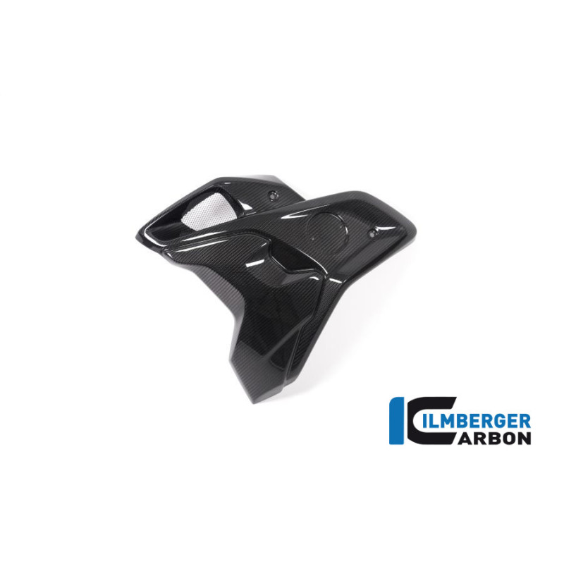Canal d'air complet gauche carbone pour BMW R 1250 GS | Ilmberger Carbon