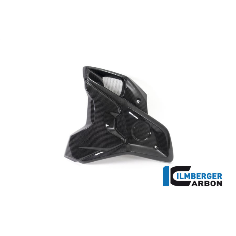 Canal d'air complet gauche carbone pour BMW R 1250 GS | Ilmberger Carbon