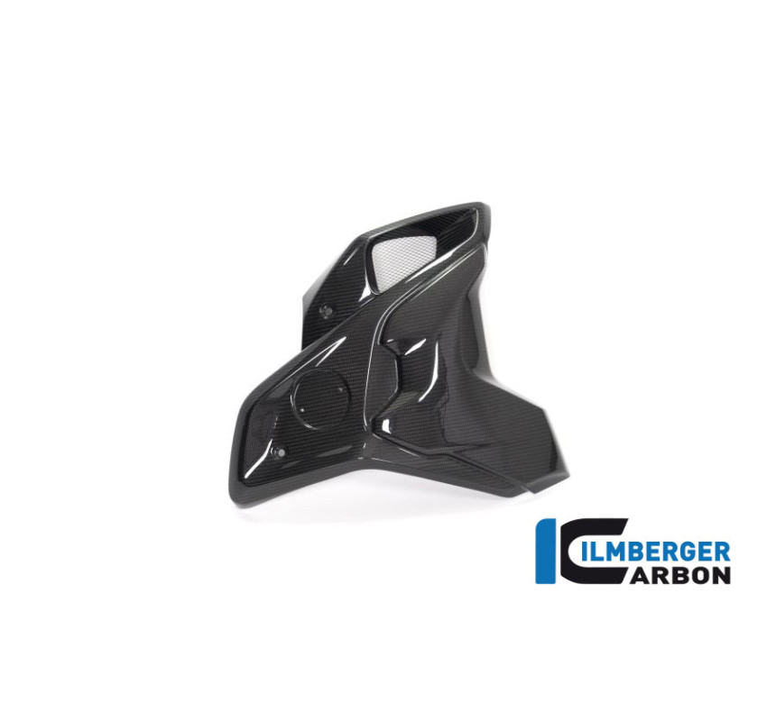 Canal d'air complet droit carbone pour R 1250 GS