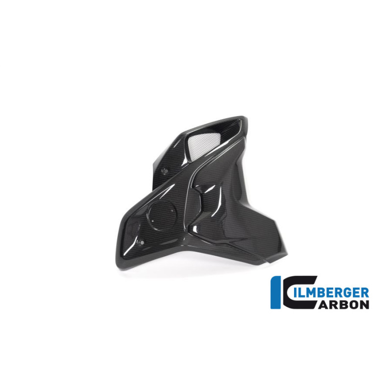 Canal d'air complet droit carbone pour R 1250 GS