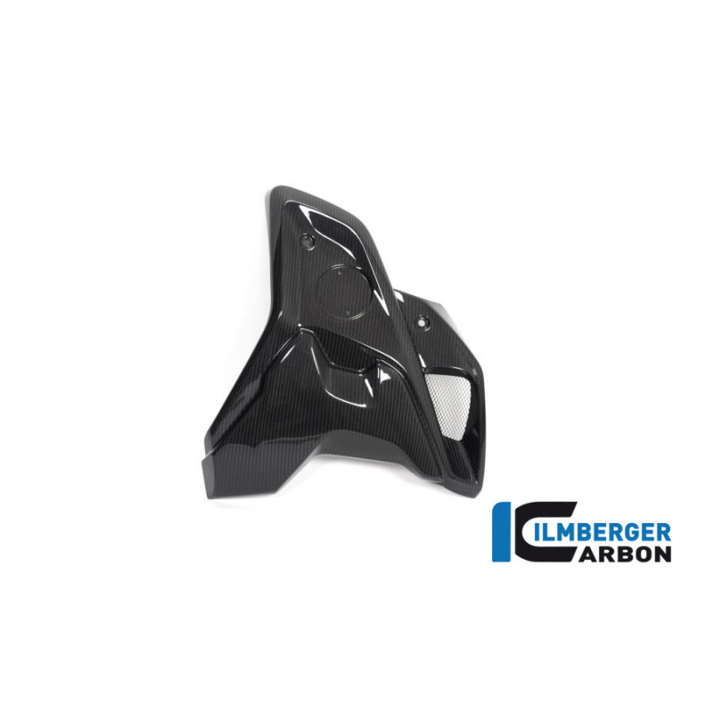 Canal d'air complet droit carbone pour BMW R 1250 GS | Ilmberger Carbon
