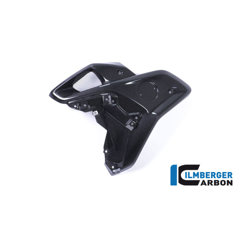 Canal d'air gauche carbone pour BMW R 1200 GS | Ilmberger Carbon