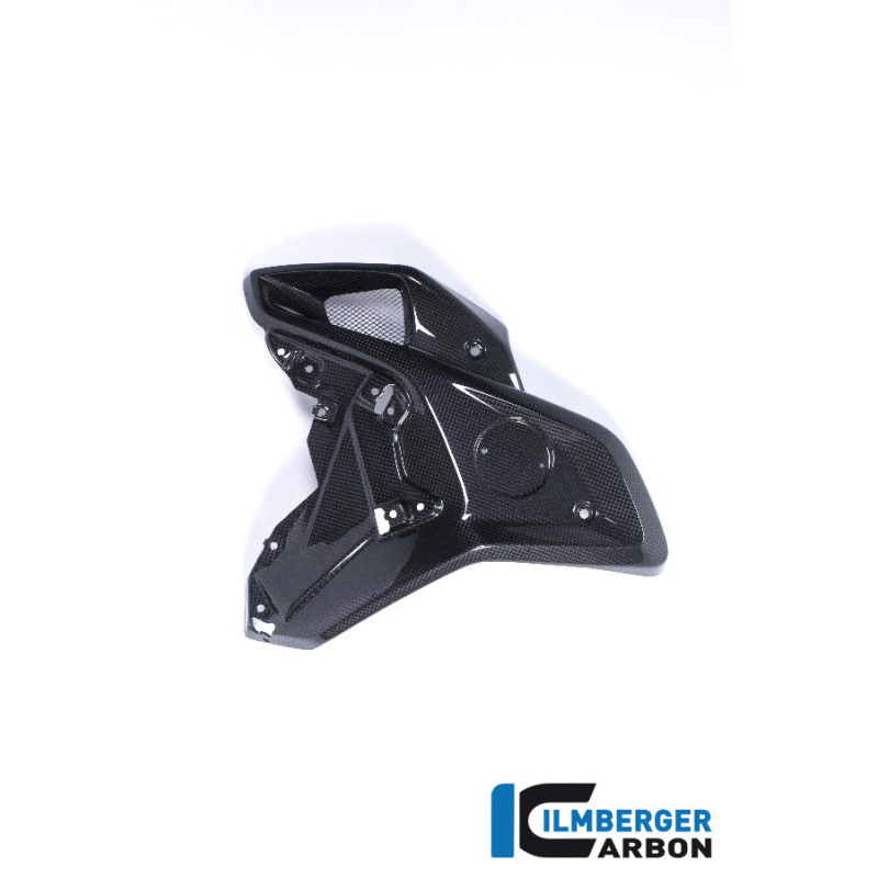 Canal d'air gauche carbone pour BMW R 1200 GS | Ilmberger Carbon