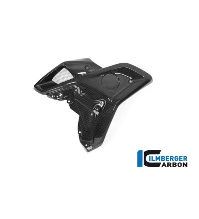Canal d'air gauche carbone pour BMW R 1250 GS | Ilmberger Carbon
